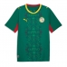 Senegal Borte Drakt VM 2026 Kortermet